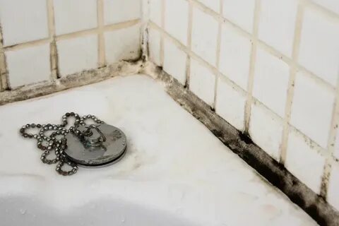 Грибок в ванной комнате