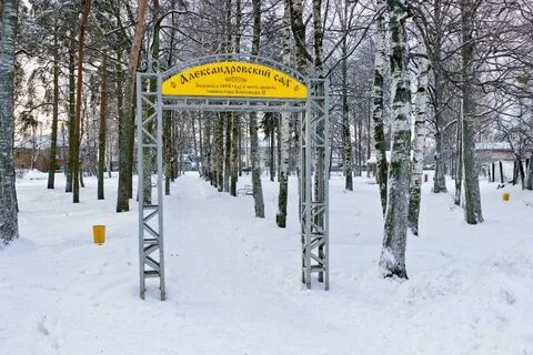 Холоп пушкино парк