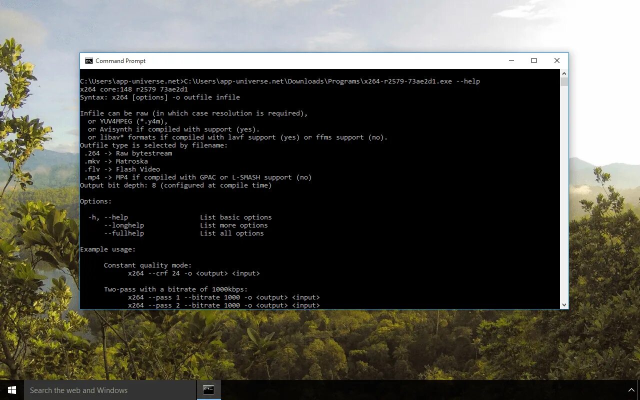 X264 codec. X264 video codec.