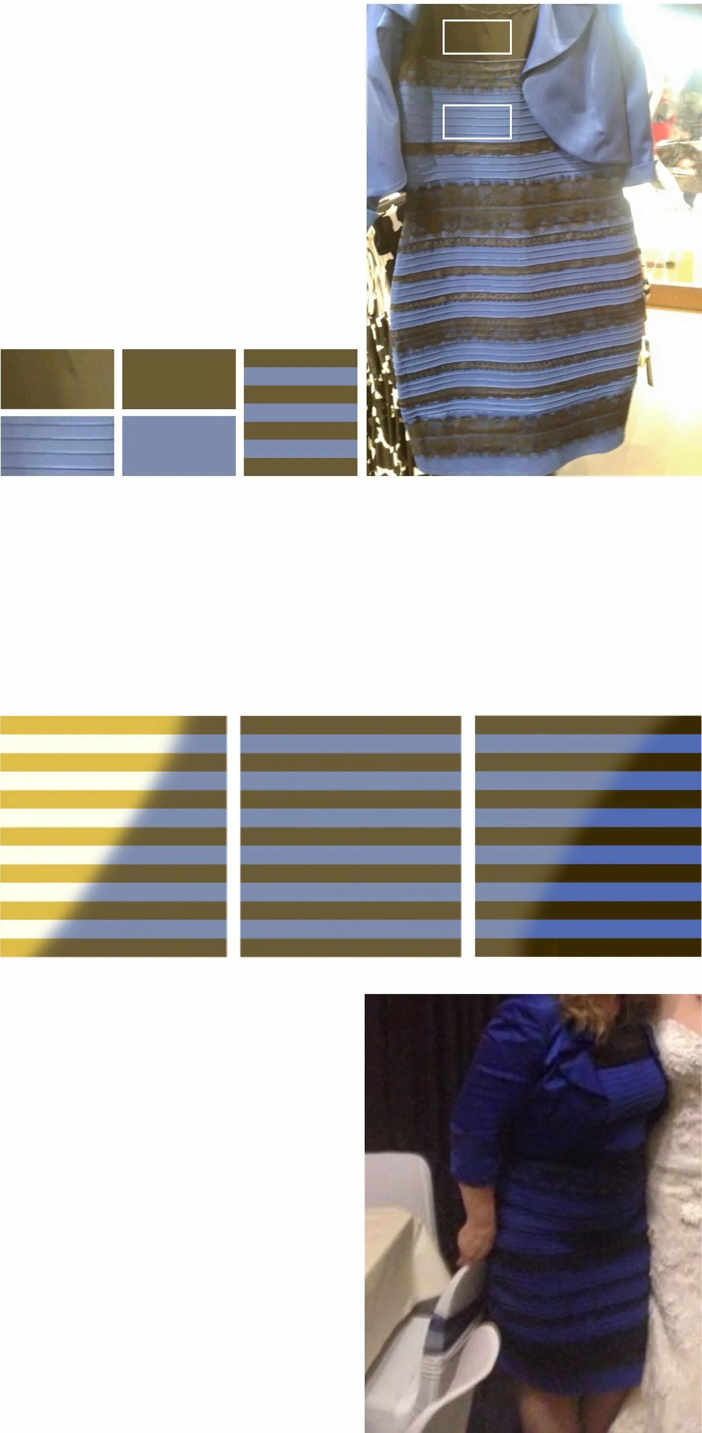 Бело золотое платье. Какого цвета платье ответ. Тест про платье сине-черное или бело-золотое. Бело-золотое платье иллюзия. Сине золотое платье оригинал.