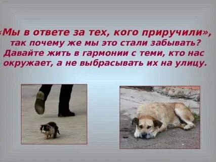 В ответе за услугу