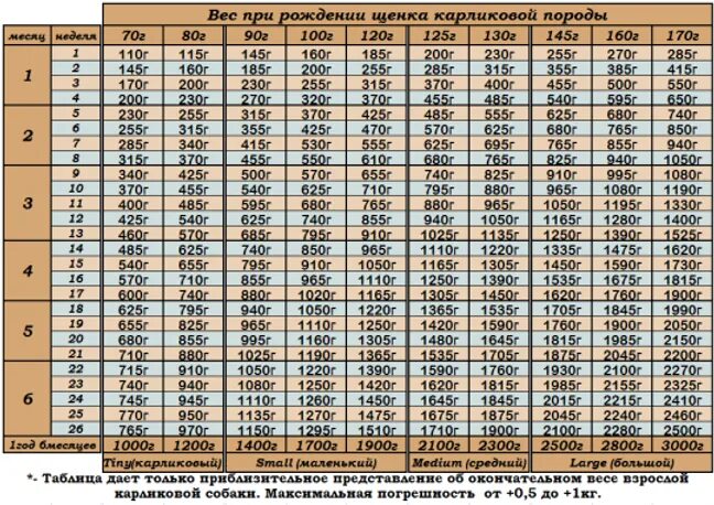 Таблица веса йоркширского терьера стандарт. Вес Йорка по месяцам таблица стандарт. Вес померанского шпица по месяцам таблица. Таблица веса щенков Йорка.