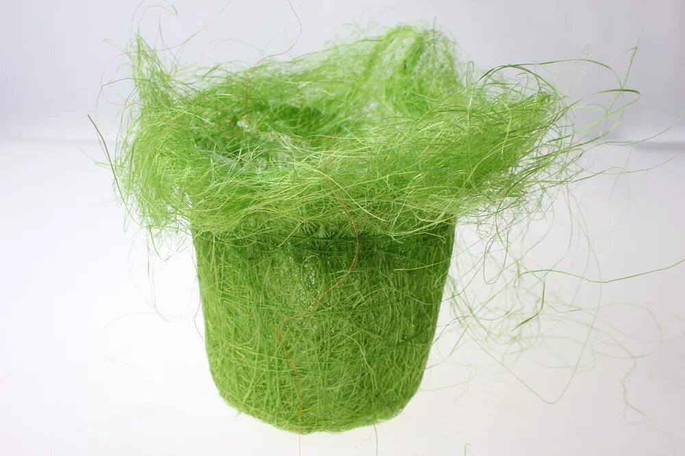 Агава волокно. Сизаль розовый. Сизаль упаковка для цветов. Пальма сизаль. Сырье для сизаля.