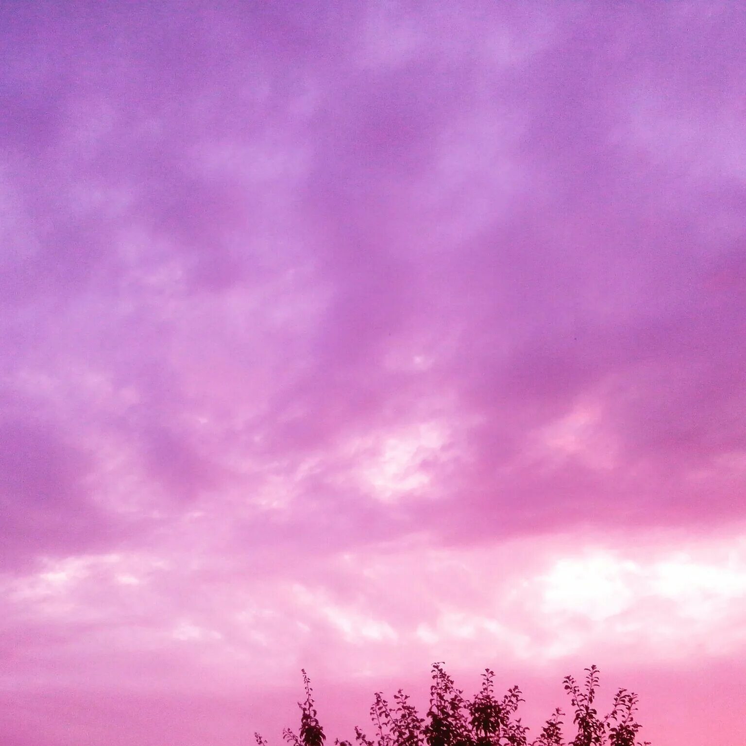 Розовое небо. Фиолетовое небо. Сиреневые облака. Розовое облако.