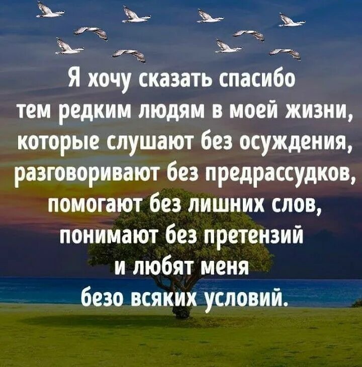 Жизненный слова смысл. Цитаты про жизнь. Высказывания о жизни. Благодарность цитаты. Самые красивые слова про жизнь.