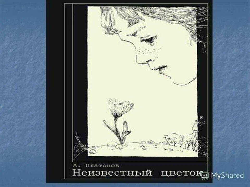 У этого произведения неизвестный автор оно. Иллюстрация к рассказу Платонова неизвестный цветок. Иллюстрация к произведению неизвестный цветок Платонов. Иллюстрация к повести неизвестный цветок Платонова. Платонов а. "неизвестный цветок".