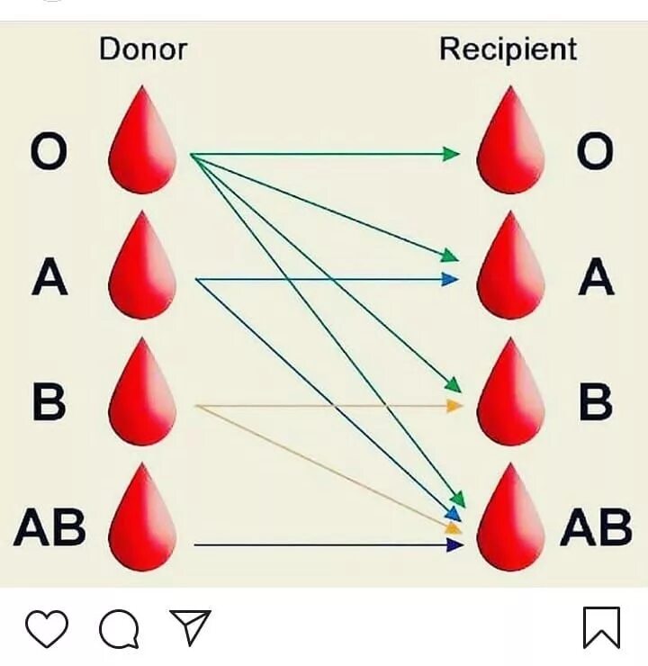 Blood group b. Type a кровь. Blood group b. Blood group b. Blood group b.