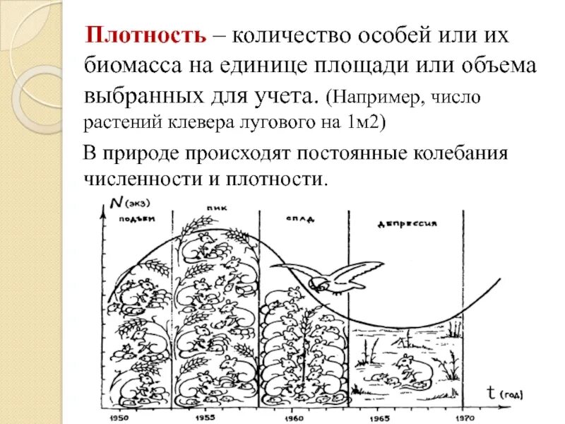 Плотный особо. Плотность популяции. Численность и плотность популяции. Плотность особей. Численность плотность и структура популяций.