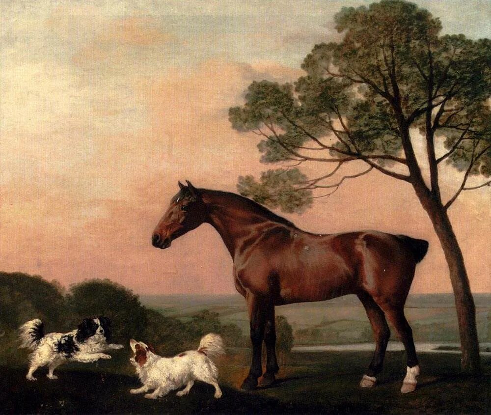 Джордж стаббс. Анималистика. George stubbs картины. Джордж стаббс художники-анималисты. Джордж стаббс художник.