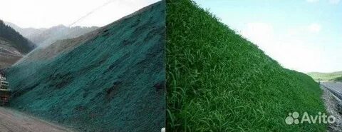 Рекультивация садов