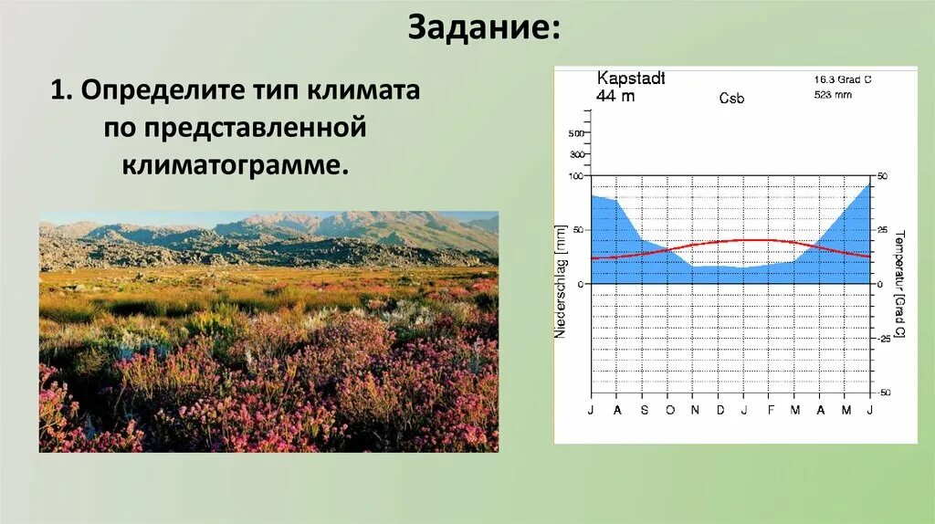 Климатограмма субантарктического пояса. Климатограмма субарктического климата. Субантарктический климат климатограмма. Субарктический Тип климата климатограмма. Тип климата в лондоне