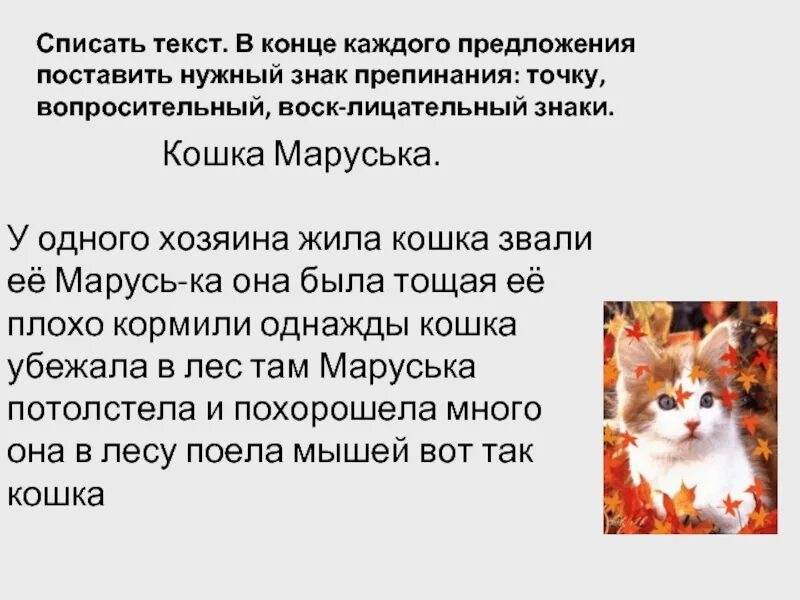 Текст для списывания 2 класс. Небольшой текст для списывания 6 класс русский язык. Текст для списывания 2 класс по русскому языку. Маленький текст. Маленький текст.