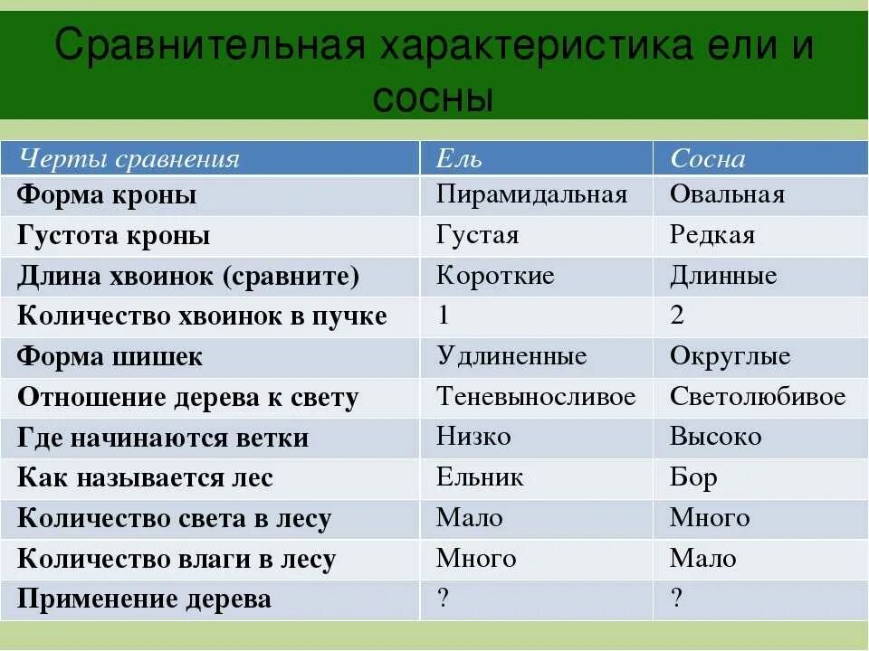 Биология таблица сосна ель лиственница. Сравнительная таблица ель и сосна. Характеристика сосны и ели. Таблица ели и сосны. Класс хвойные таблица