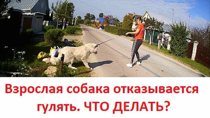 Как отказать погулять
