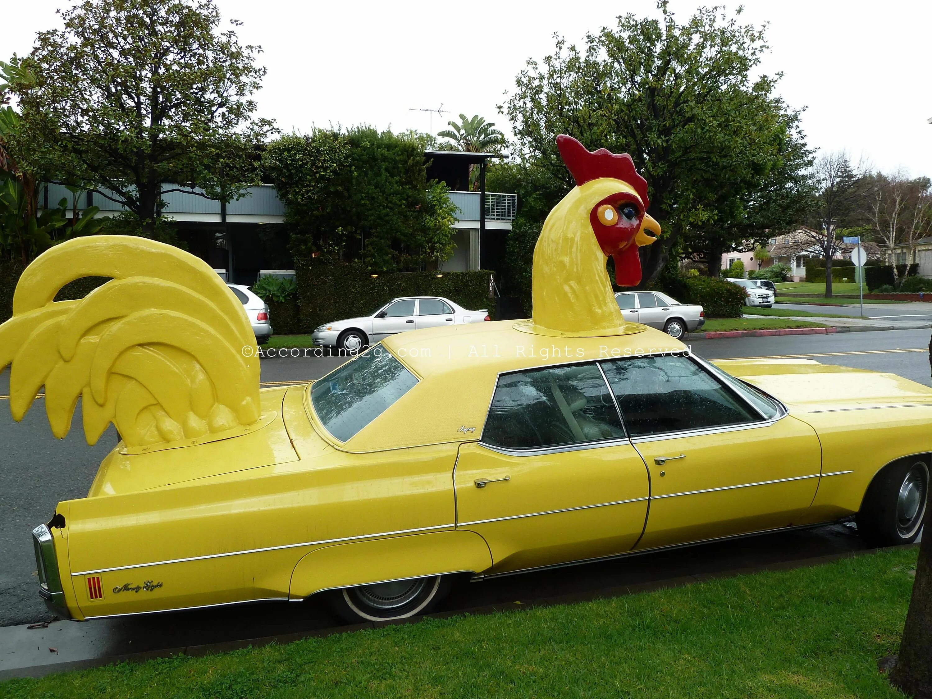 Машина bird. Машина курица. Машина петух. Автомобиль в виде петуха. Машина в виде курицы.