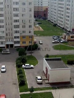Картукова орел