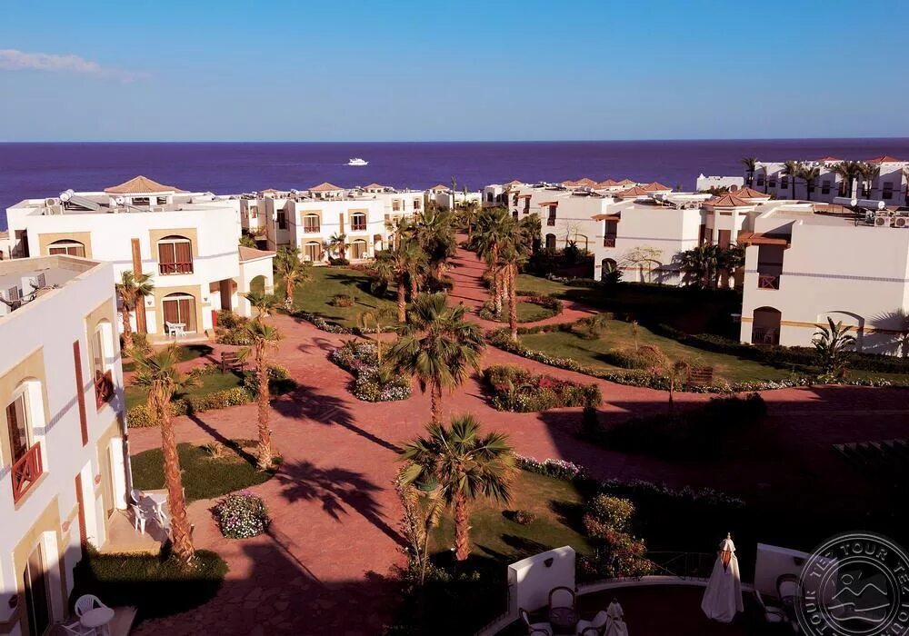 Park amphoras blu resort 4. Отель Шорес АЛОХА Египет. Шарм-Эль-Шейх АЛОХА 4. Отель АЛОХА Египет Шарм Эль. Шорс АЛОХА отель Шарм Шейх.