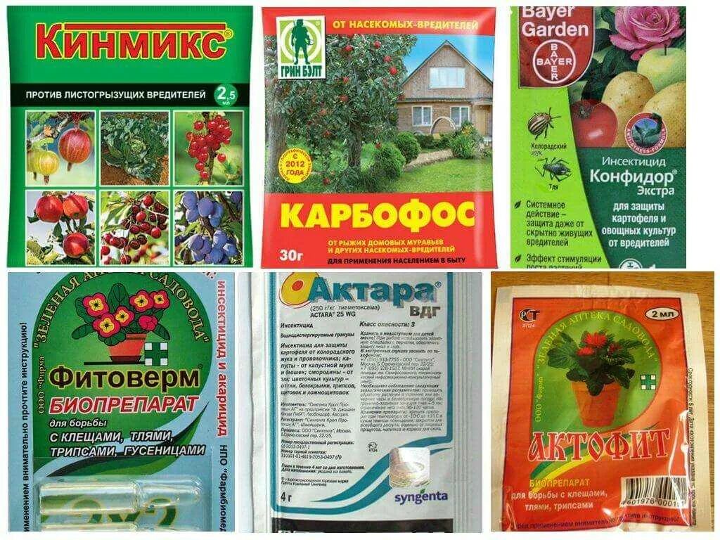 Средство от болезней и вредителей для деревьев. Средство от тли на деревьях. препарат от вредителей для плодовых деревьев. препарат от тли на деревьях. эффективное средство от тли на плодовых.