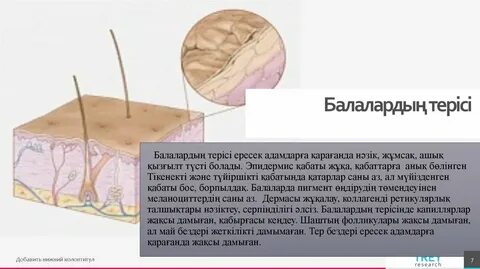 Супер порно z