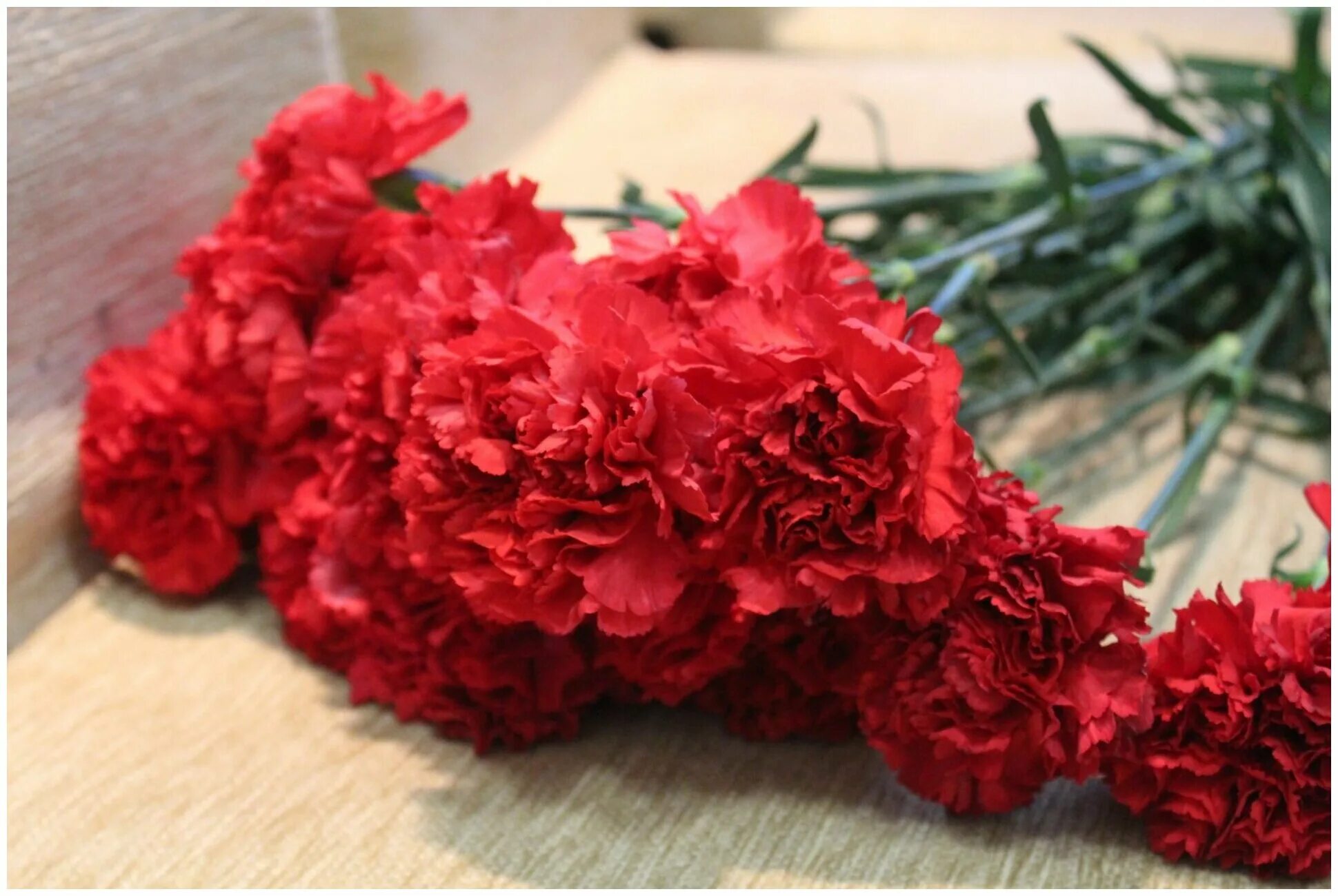 Гвоздики красные екатеринбург. Красная гвоздика. Гвоздики красные екатеринбург. Красный гвоздь. Гвоздики красные екатеринбург.