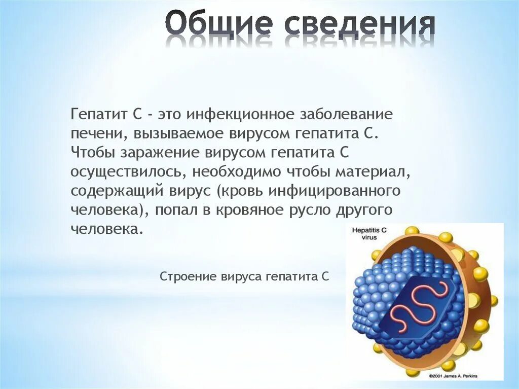 Сколько живете с гепатитом в. Гепатит с строение. Вирус гепатита c. Строение вируса гепатита в. Сколько живет вирус гепатита.