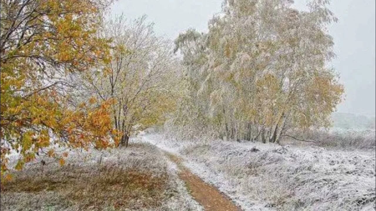 Придет ноябрь. Первый утренник серебряный Мороз Бунин. Снег в октябре. Покров первый снег. Последние дни осени природы.