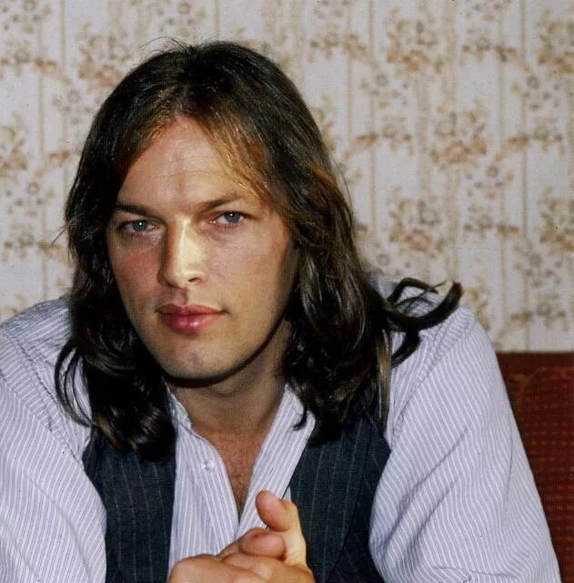 Деви дэвид. Дэвид гилмор. дэвид гилмор в молодости. pink floyd дэвид гилмор. дэвид гилмор молодой.