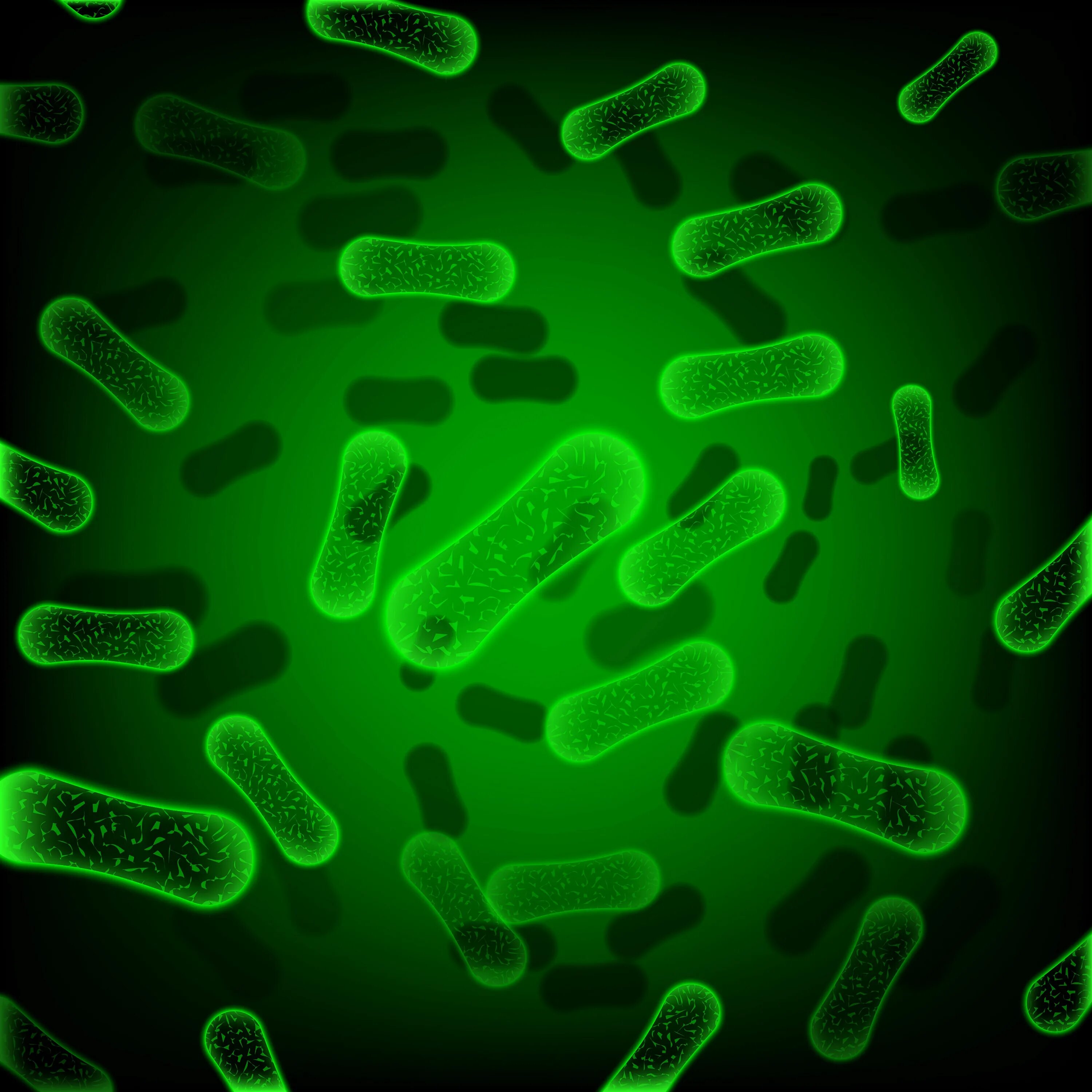 Бактерии картинки. Лактобацилус хельветикус. lactobacillus прокариоты. зеленые бактерии. микроорганизмы.