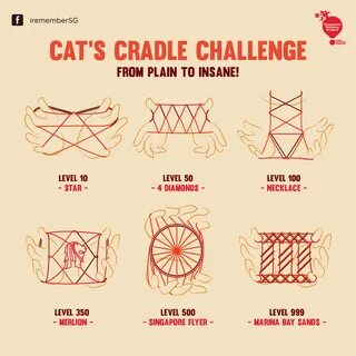 Cat's Cradle Infographic on Behance.