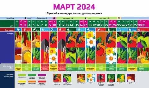 Пересадка цветов в октябре 2024 года