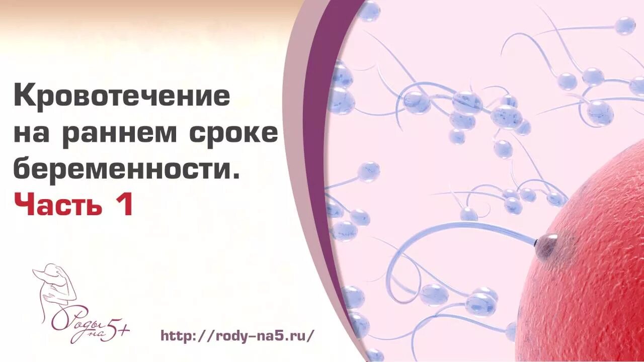 Кровить 6 недель беременности. Кровотечение на ранних сроках. Кровотечение при беременности на ранних. Кровомазание при беременности на ранних сроках. Имплантационное кровотечение.