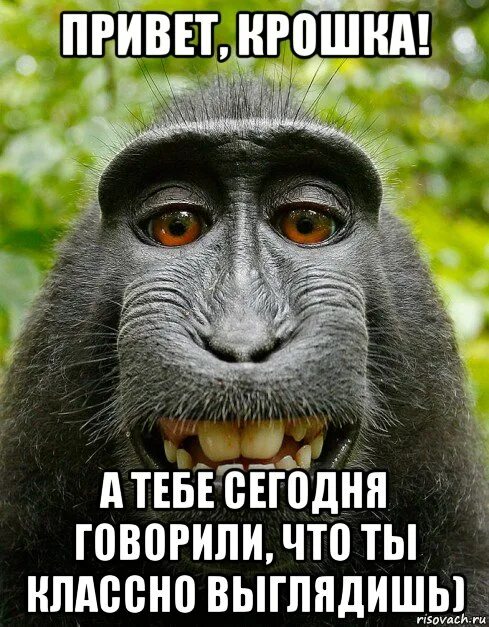 Выгляжу классно живу офигенно веду себя. Как смотришься круто и день. Так легко выглядеть крутым. Легко выглядеть крутым когда ты ничего еще не сделал. Так легко выглядеть крутым.