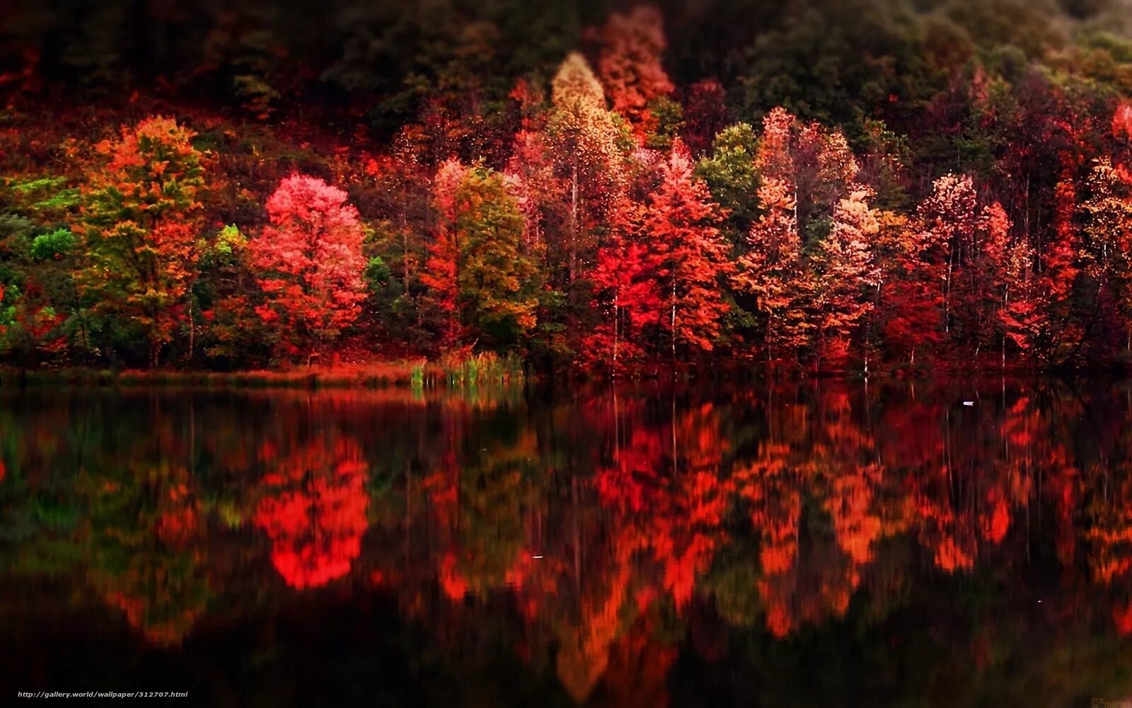 Яркое отражение