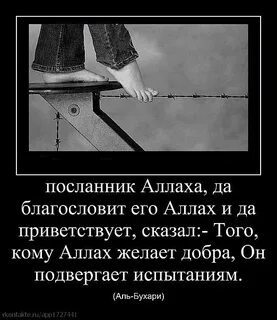 Пройти все те испытания