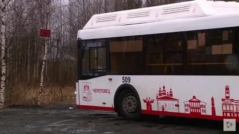 Автобусы 1 декабря