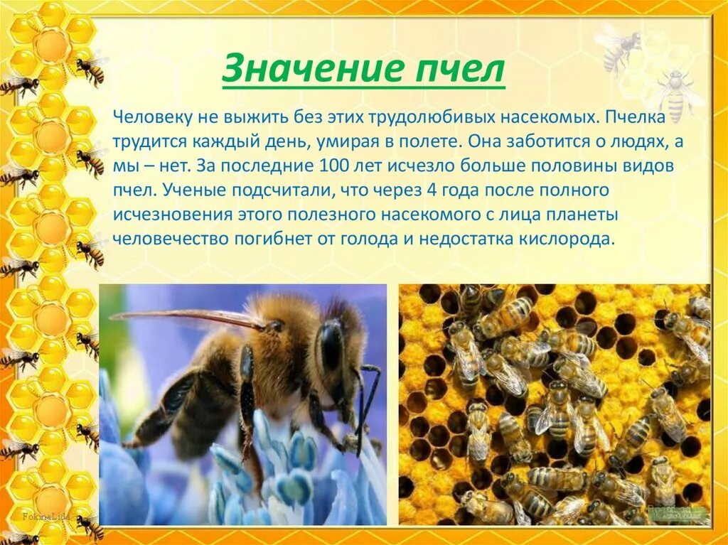 Почему много пчел