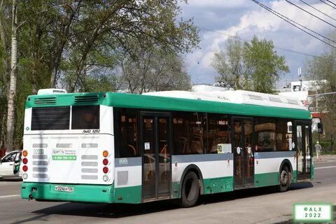 Петербург мичуринское автобус