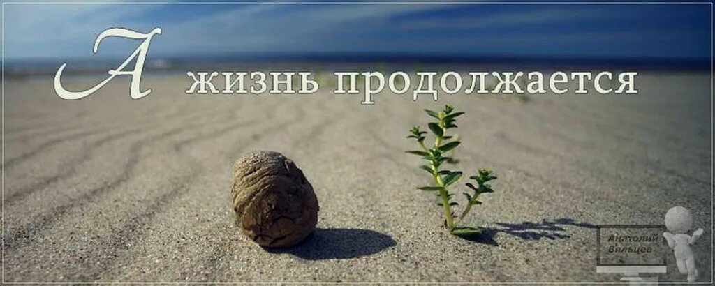 Жизнь продолжается mp3. А жизнь продолжается. жизнь продолжается картинки. но жизнь продолжается. высказывания что жизнь продолжается.