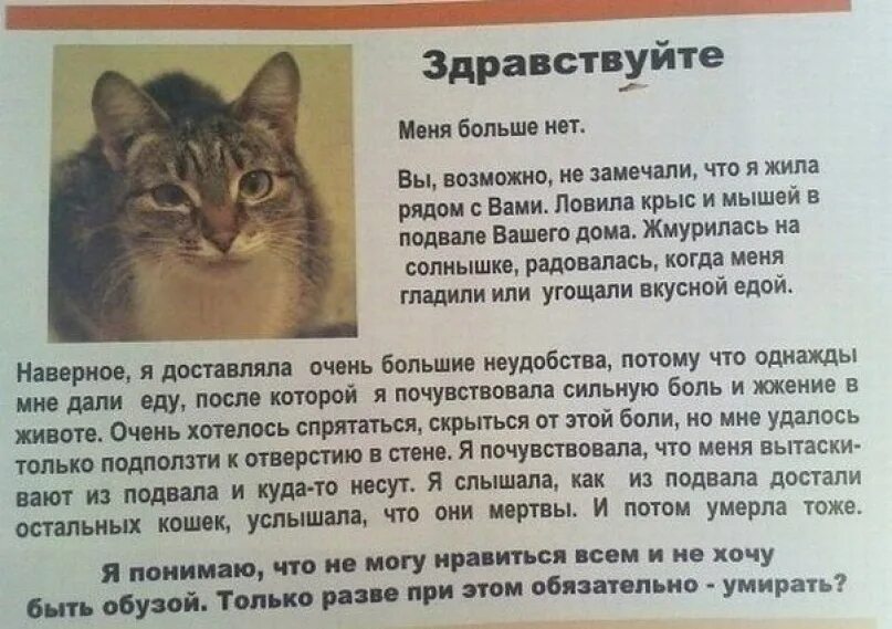 Если бы я был животным