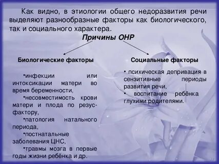 Для общего недоразвития речи характерно