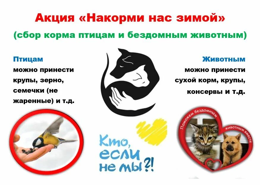 Юля группа помощи бездомным животным. Объявления о бездомных собаках. Группа помощи животным. Юля группа помощи бездомным животным. Правила поведения при встрече с бездомными животными.