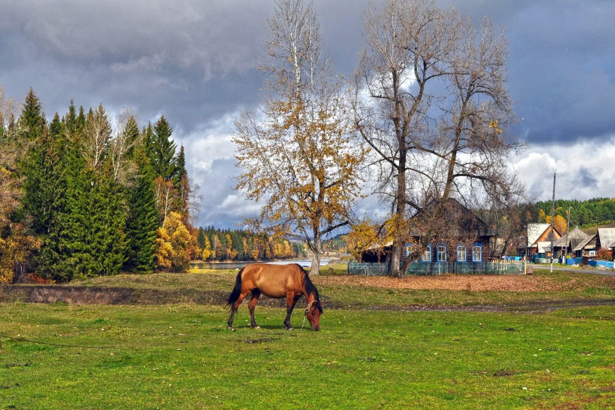 Моя деревня. Природы милый уголок. Фотоконкурс моя деревня. Милая деревня. Деревенька моя старая до земли поклонюсь