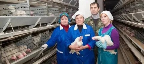Минская птицефабрика