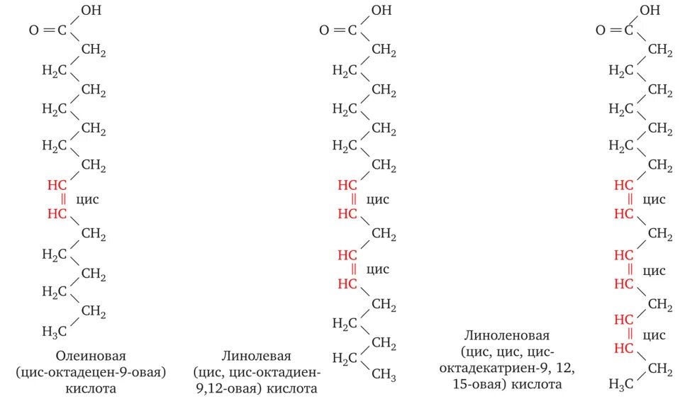 Линолевая кислота для чего нужна. Фосфолипиды строение биохимия. Линолевая кислота биохимия. Строение фосфолипида. Связь между глицерином и жирной кислотой.