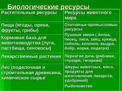 Краткая характеристика благоприятных природных ресурсов