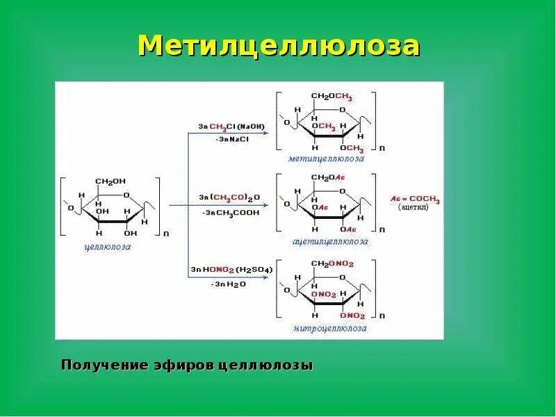 Пировиноградная кислота биополимер. Химические свойства биополимеров. Целлюлоза биополимер. Способы получения биополимеров. Модели полимеризации биополимеров.