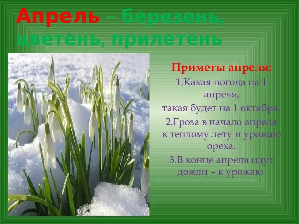 Известные весенние приметы 2 класс окружающий мир. Приметы апреля. Приметы весны апрель. Народные приметы апреля для детей. Апрель приметы месяца.