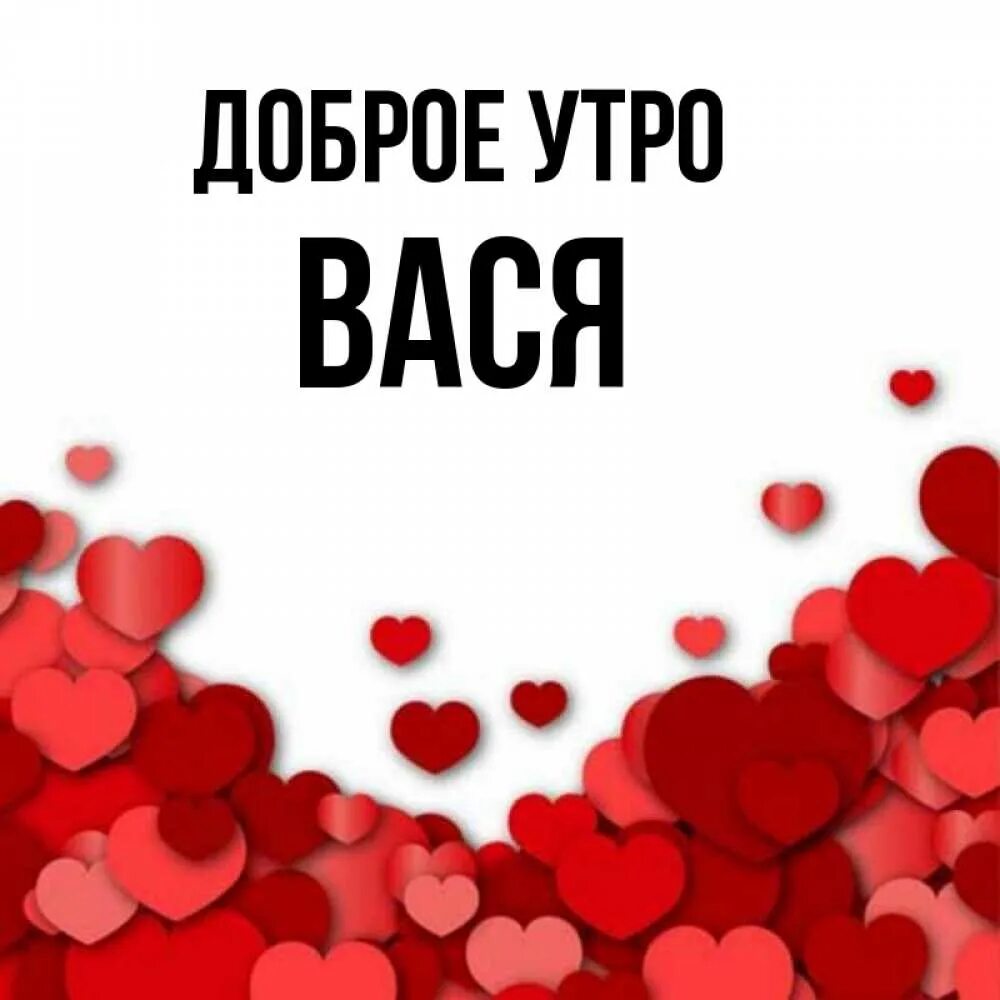Котоматрица доброе утро. Утром вася. С добрым утром вася. Доброе утро васенька. Доброе утро вася картинки.