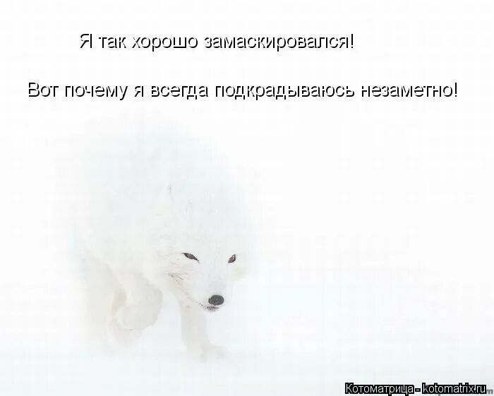 юмор программистов. хорошо незаметно. хорошо незаметно. хорошо незаметно. что делает женщину женщиной.