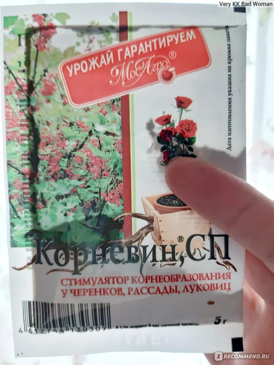 Корневин как пользоваться для черенков. Препарат для корнеобразования растений. Корневин порошок. Применение корневина для роз. Корневин 10 гр.